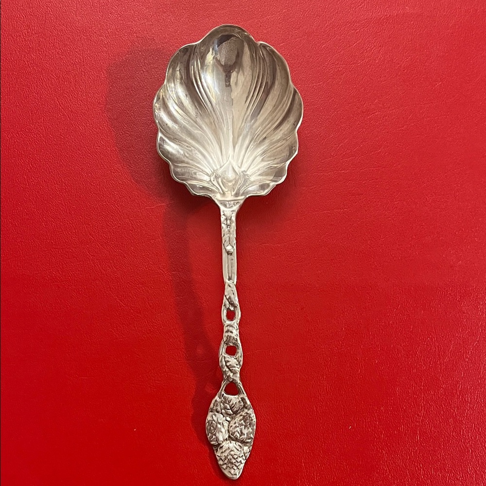 Vintage Elegant Silver Serving Spoon